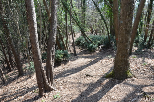 The trail goes from Old Lighthouse to the Narrow Stones