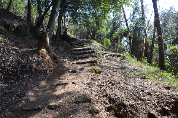 The way to the Abbey of San Fruttoso.