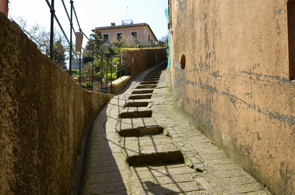 Trail to Portofino National Park