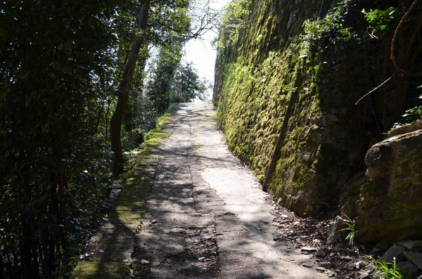 Trail to Portofino National Park