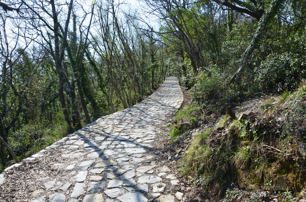 Trail to Portofino National Park