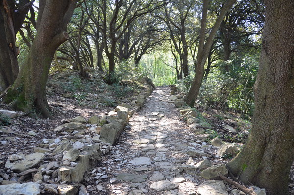 Trail to Portofino National Park