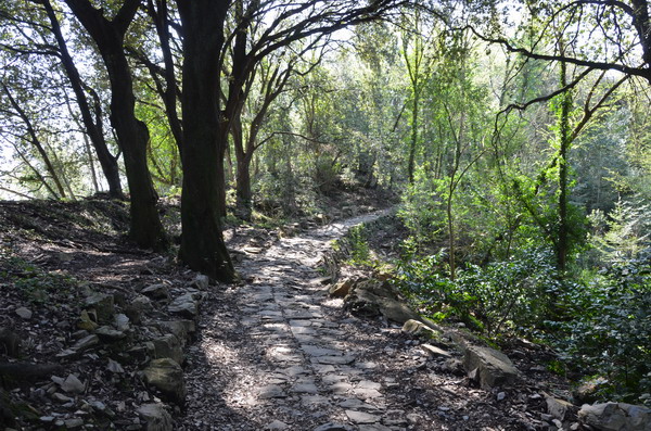 Trail to Portofino National Park