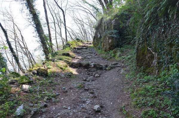 Trail to Portofino National Park