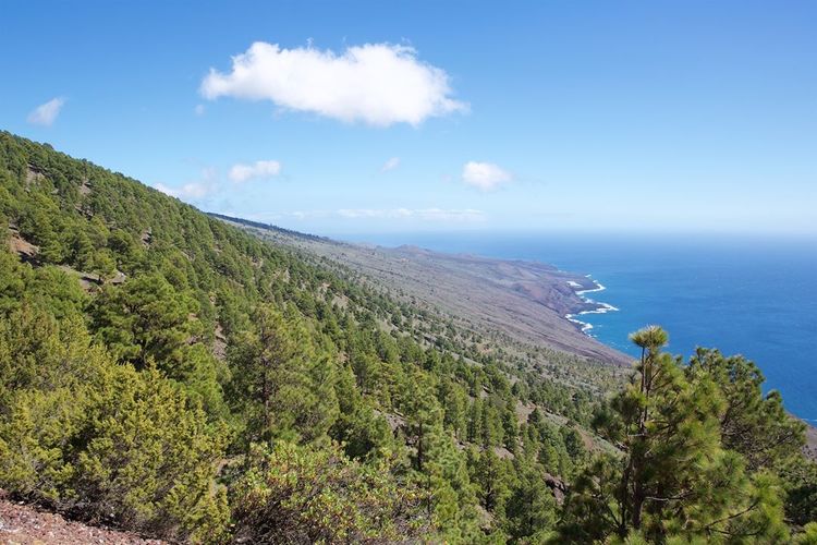 El Julan National Park