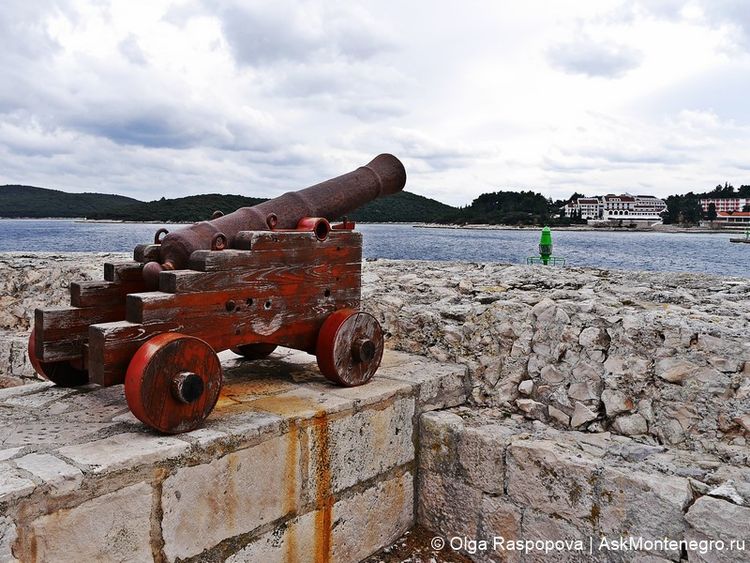 Antique cannons