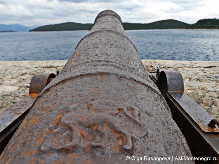 Antique cannons