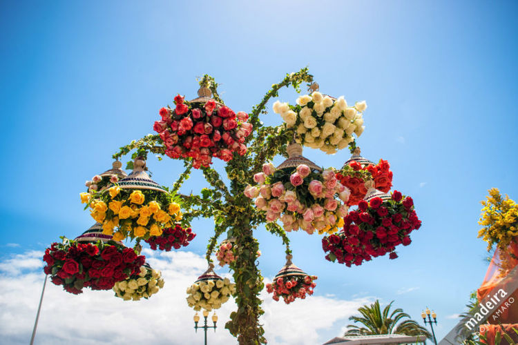 All in Flowers (photo: Don Amaro)