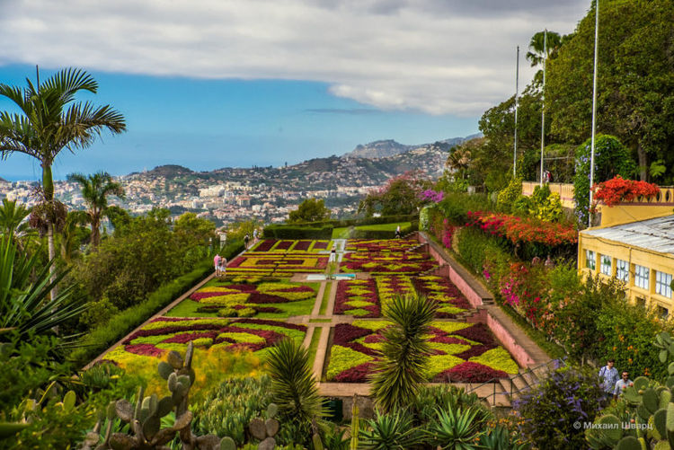 Madeira Botanical Garden by engineer Rui