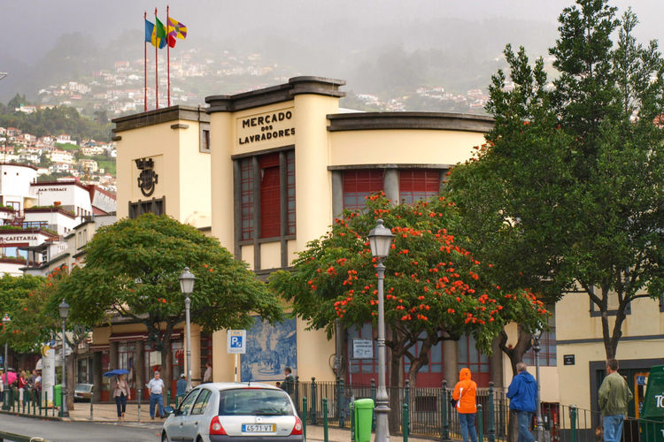 Funchal Farmer's Market