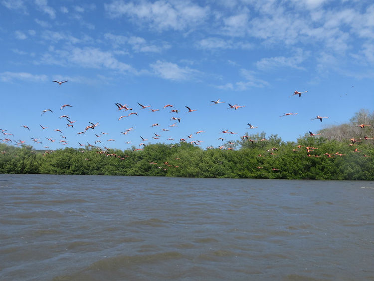 Laguna de Guanaroca