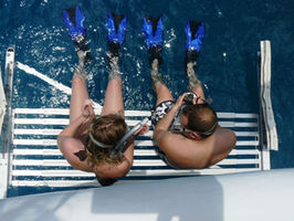 Diving and snorkelling from the platform