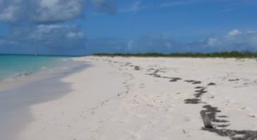 Anegada Beach