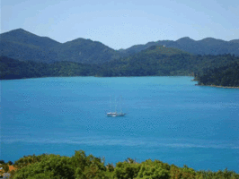 ANCHORAGE WHITSUNDAYS