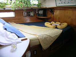 Guest Cabin