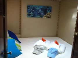 Stateroom #1