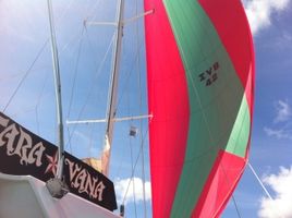 Flying our spinnaker...