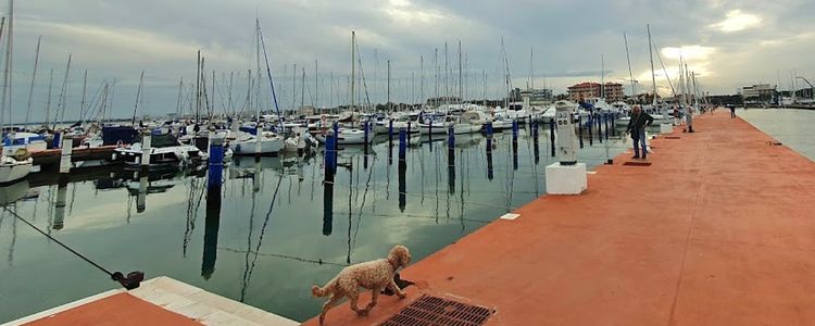 Yacht Marina Cervia